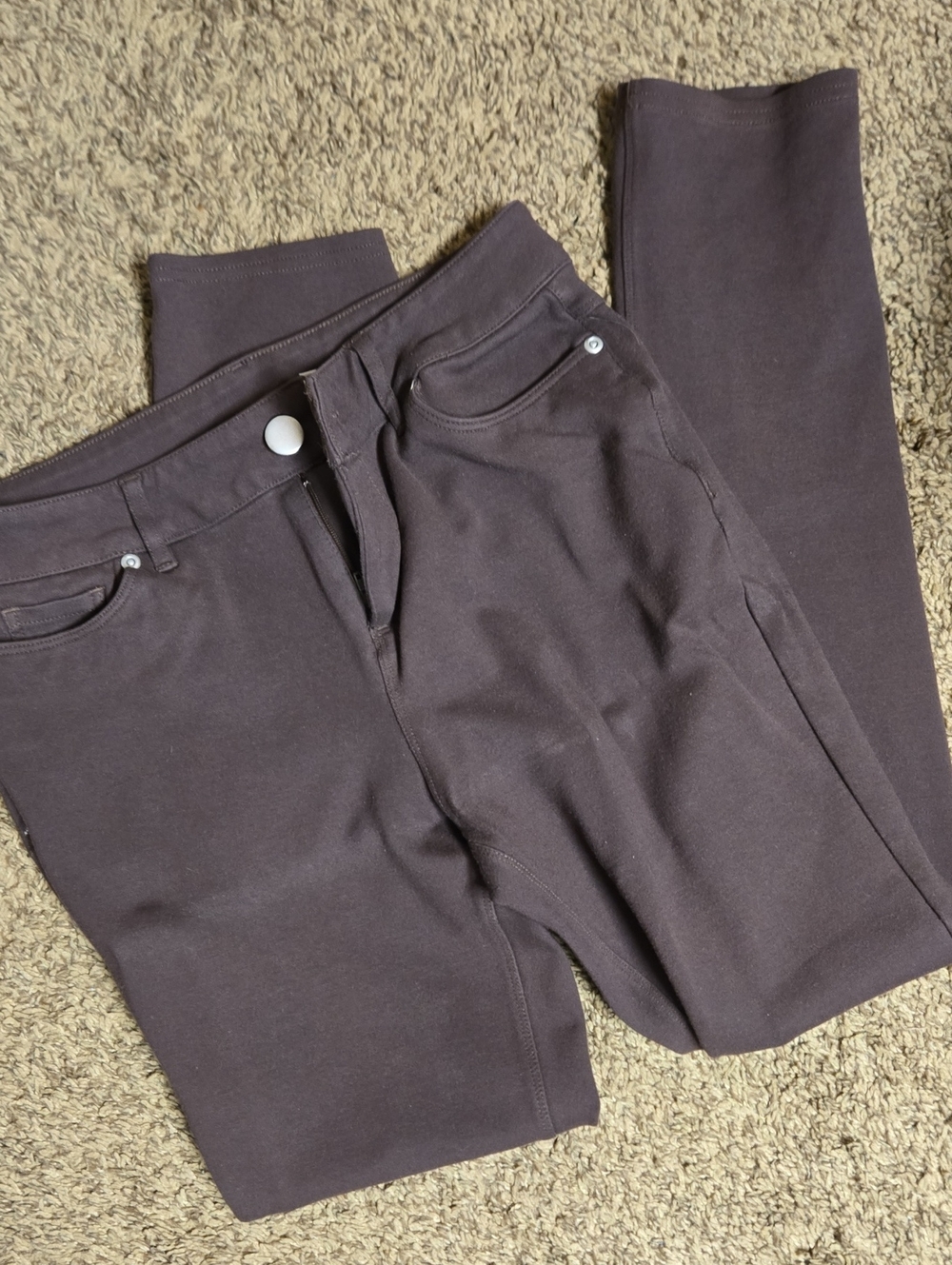 Cato Women's Straight Leg Pants in Dark Brown